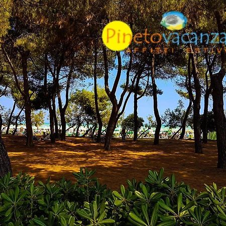 Myconos C2 - Pineto Vacanza Eksteriør bilde